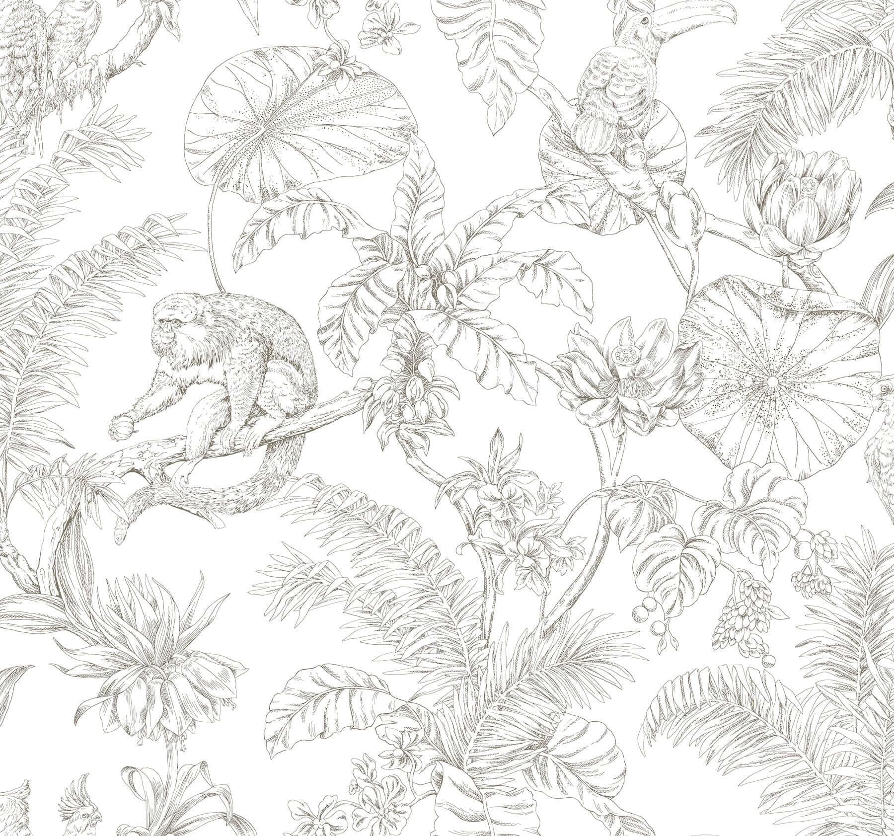 Tropical Sketch Toile Wallpaper- Brown