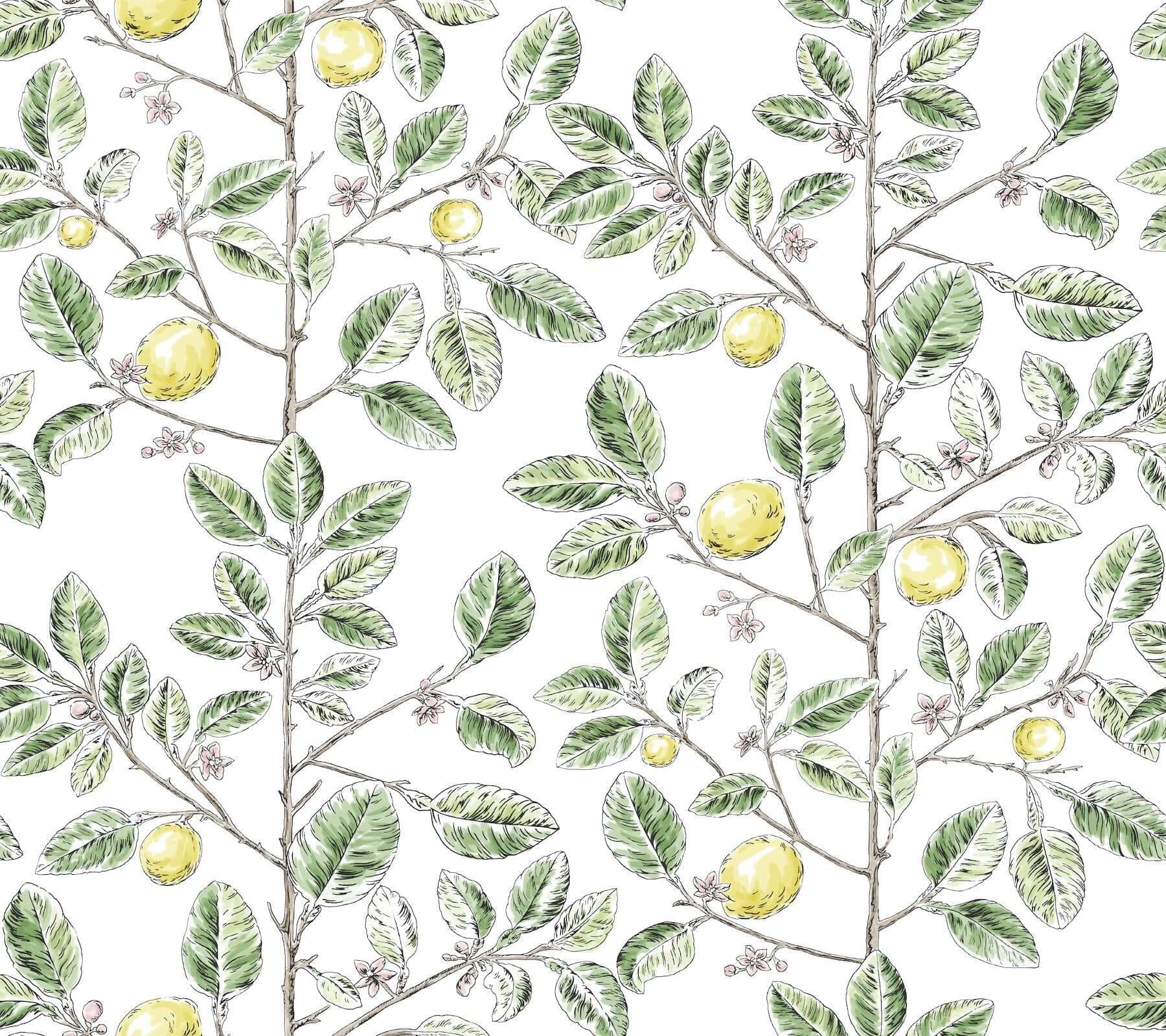 Limoncello Toile Wallpaper- Green