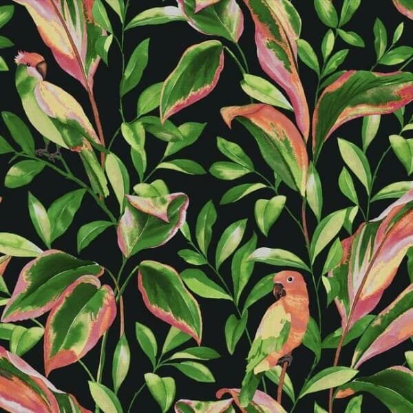 Tropical Love Birds Wallpaper- Black