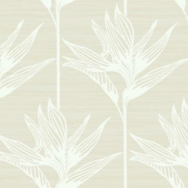 Bird Of Paradise Wallpaper- White
