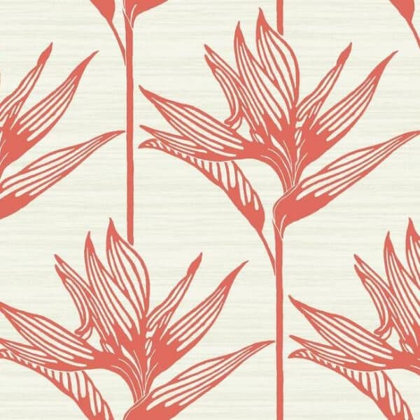 Bird Of Paradise Wallpaper- Coral