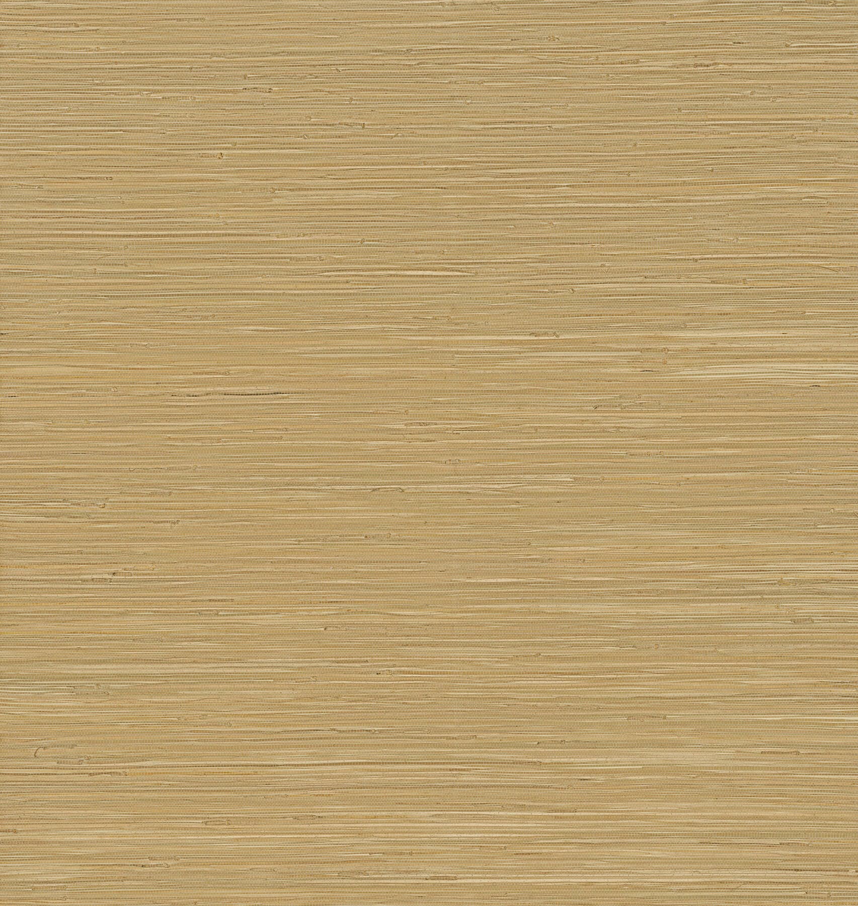 Zhilan Olive Grasscloth Wallpaper