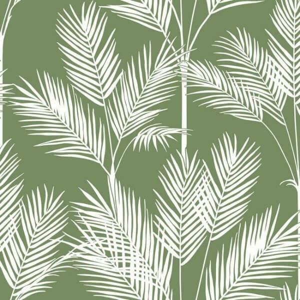 King Palm Silhouette Wallpaper- Fern