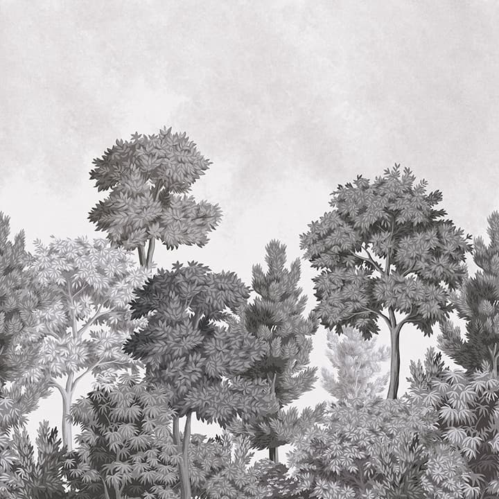 Delamere Mono Wall Mural