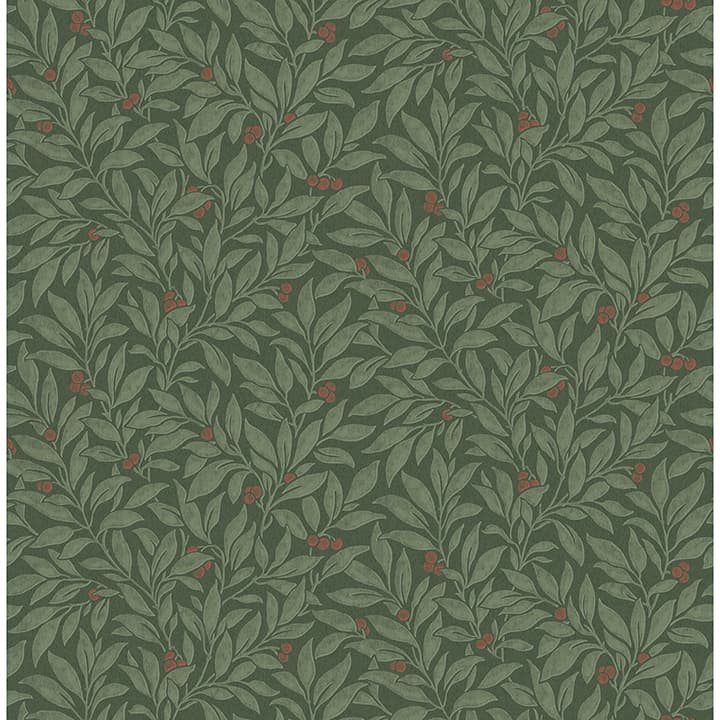Winter Berry Evergreen Vine Wallpaper