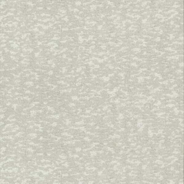 Weathered Cypress Wallpaper- White