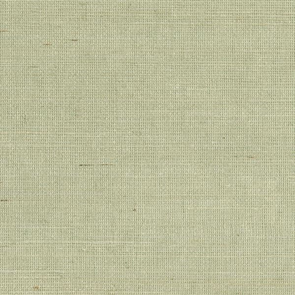 Popun Light Green Grasscloth
