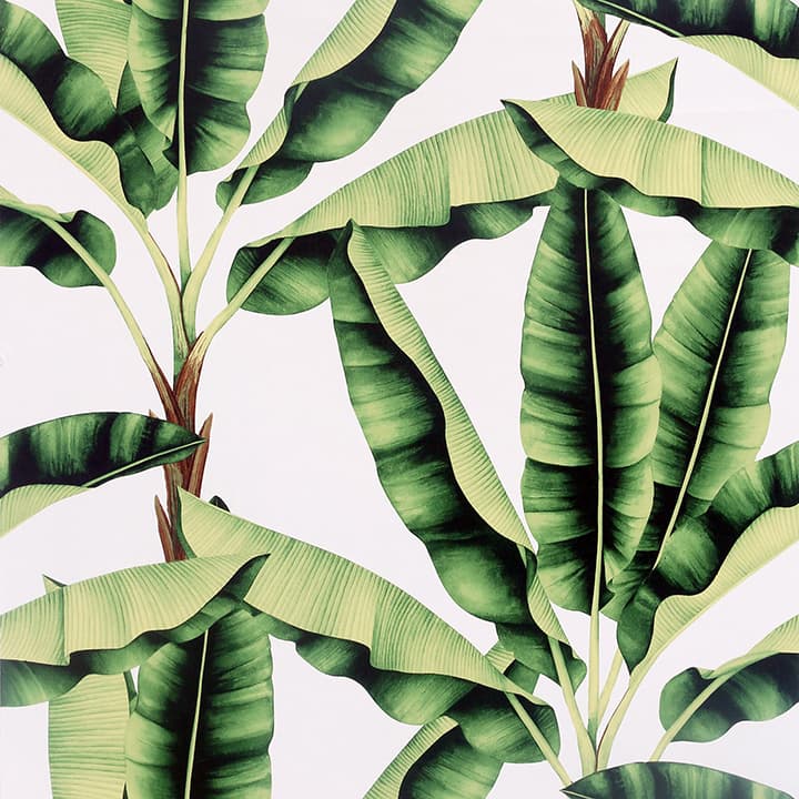 Musa Green Palm Tree Wallpaper- Arthouse