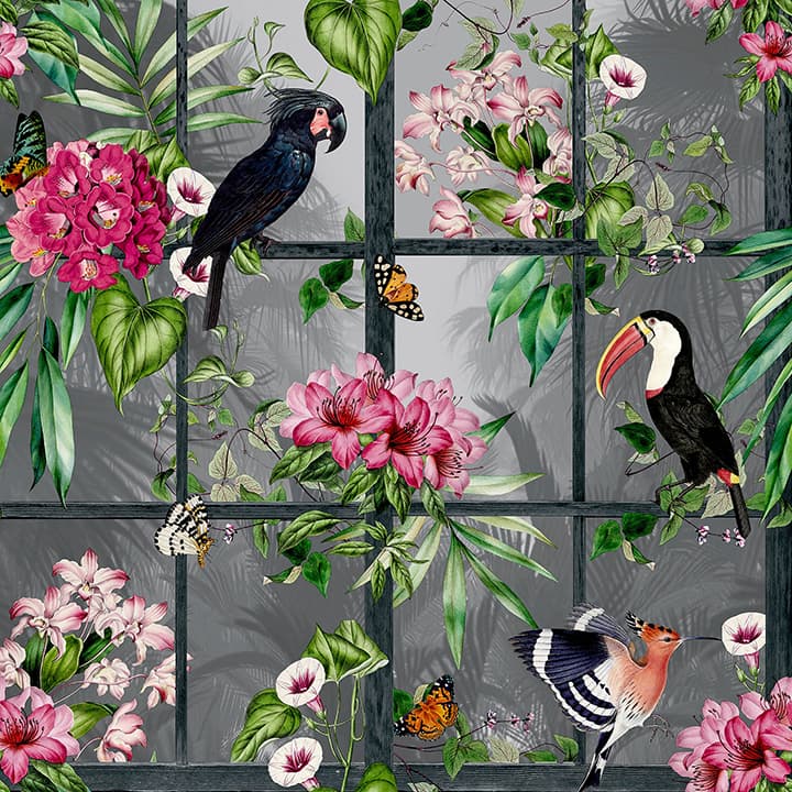 Dorothea Multicolor Tropical Birds Wallpaper- Arthouse