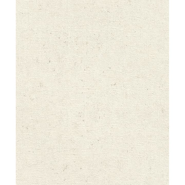 Cain White Rice Texture Wallpaper