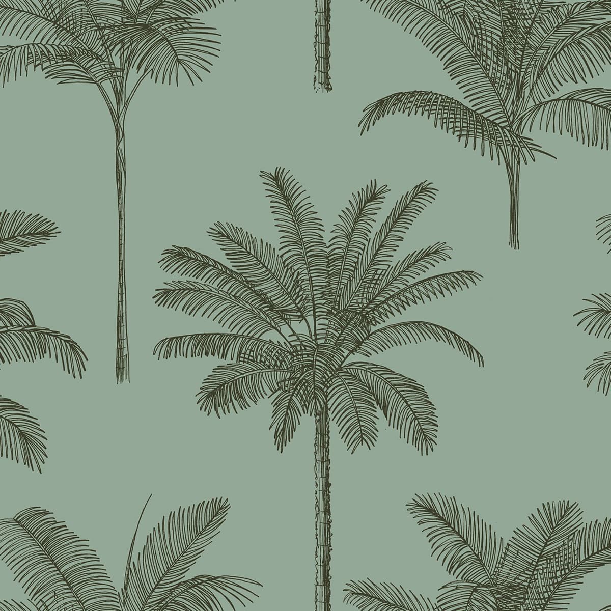 Taj Sage Palm Trees Wallpaper