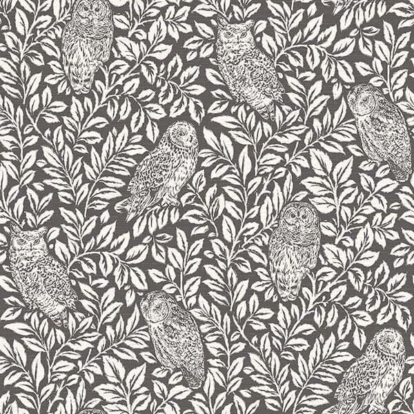 Parliament Brown Owl Wallpaper