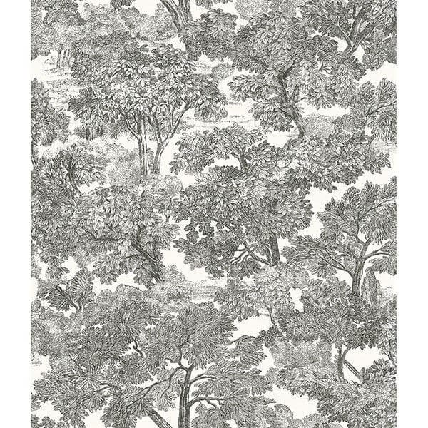 Spinney Black Toile Wallpaper