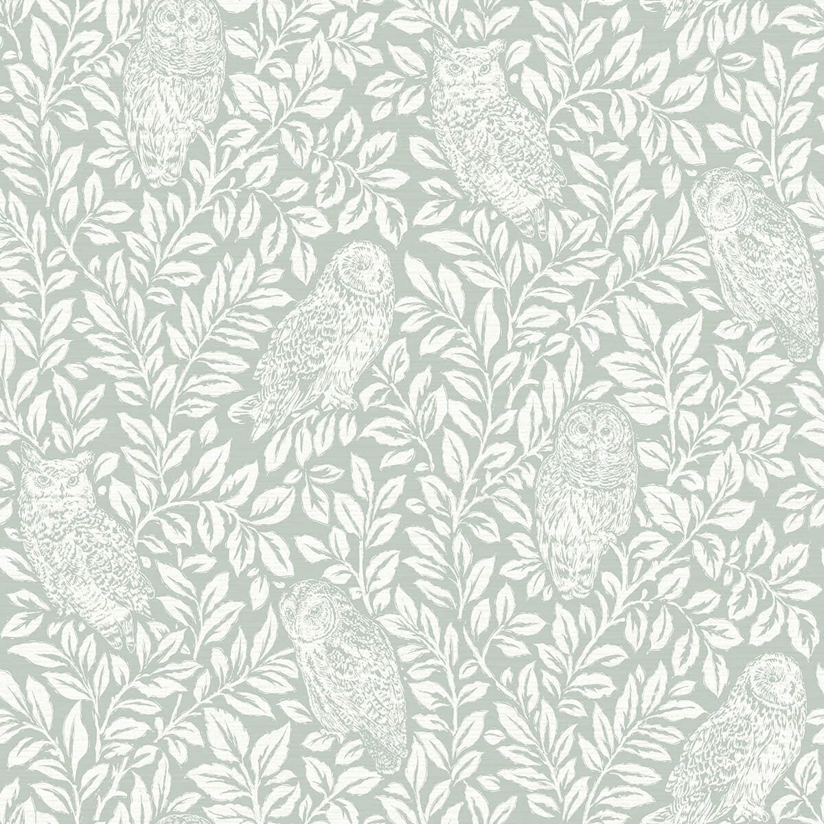 Parliament Seafoam Owl Wallpaper