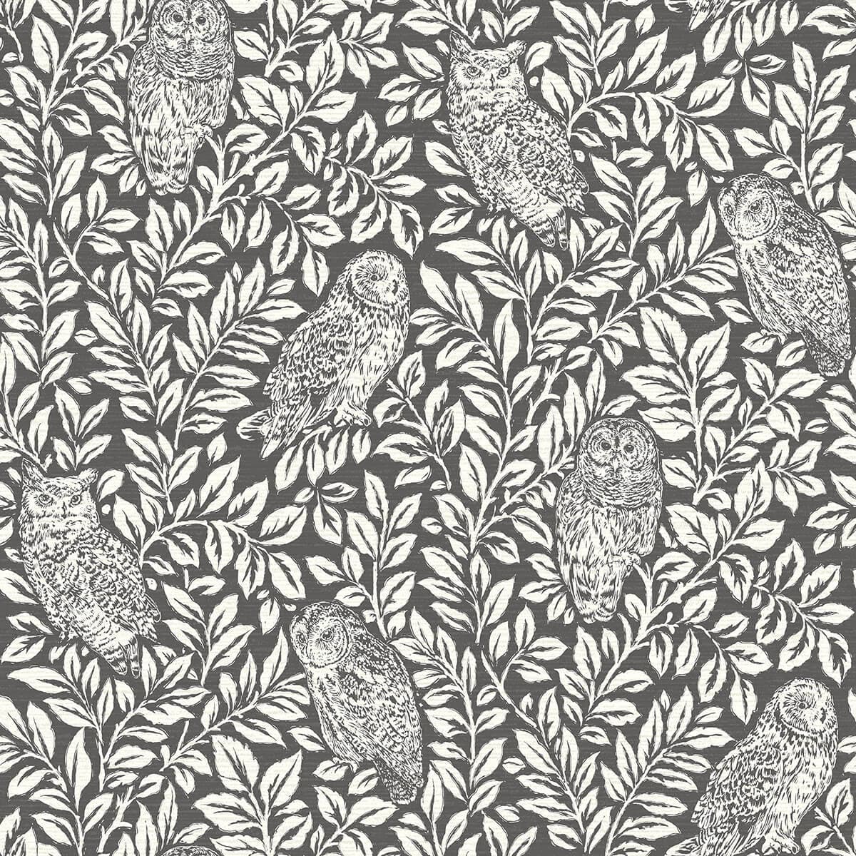 Parliament Charcoal Owl Wallpaper