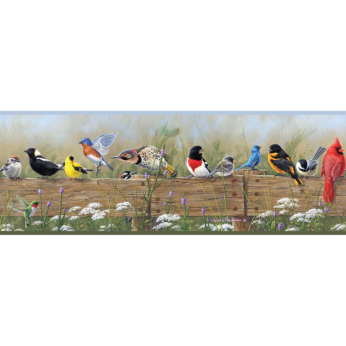 Flock Multicolor Menagerie Border