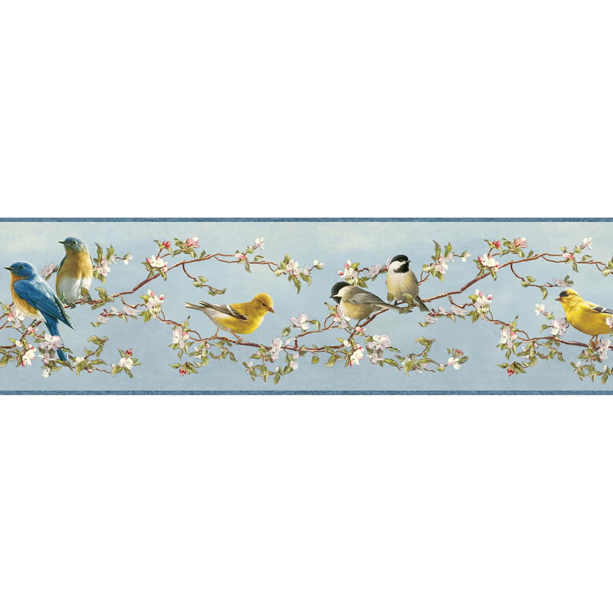 Songbird Sky Blue Trail Border