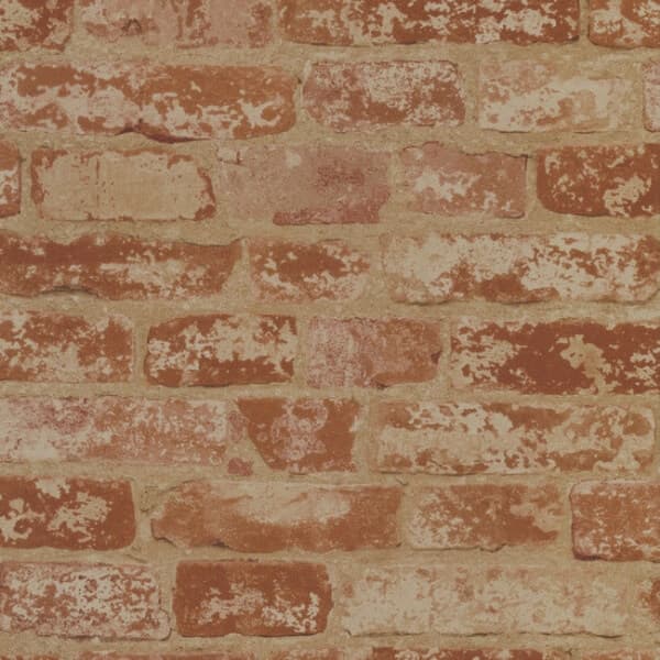 Up the Wall Wallpaper- Up Wall