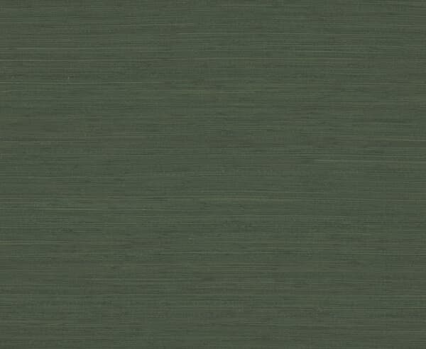 Painted Hemp Green Wallpaper