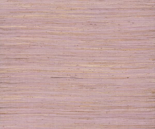 Multicolored Hemp Rose Bisque Wallpaper