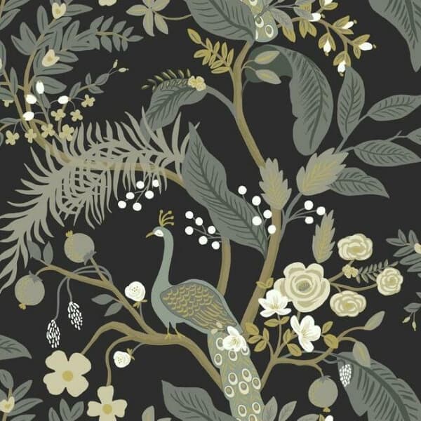 Peacock Wallpaper- Black