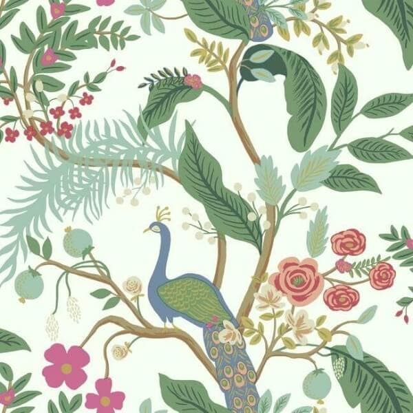Peacock Wallpaper- Rouge