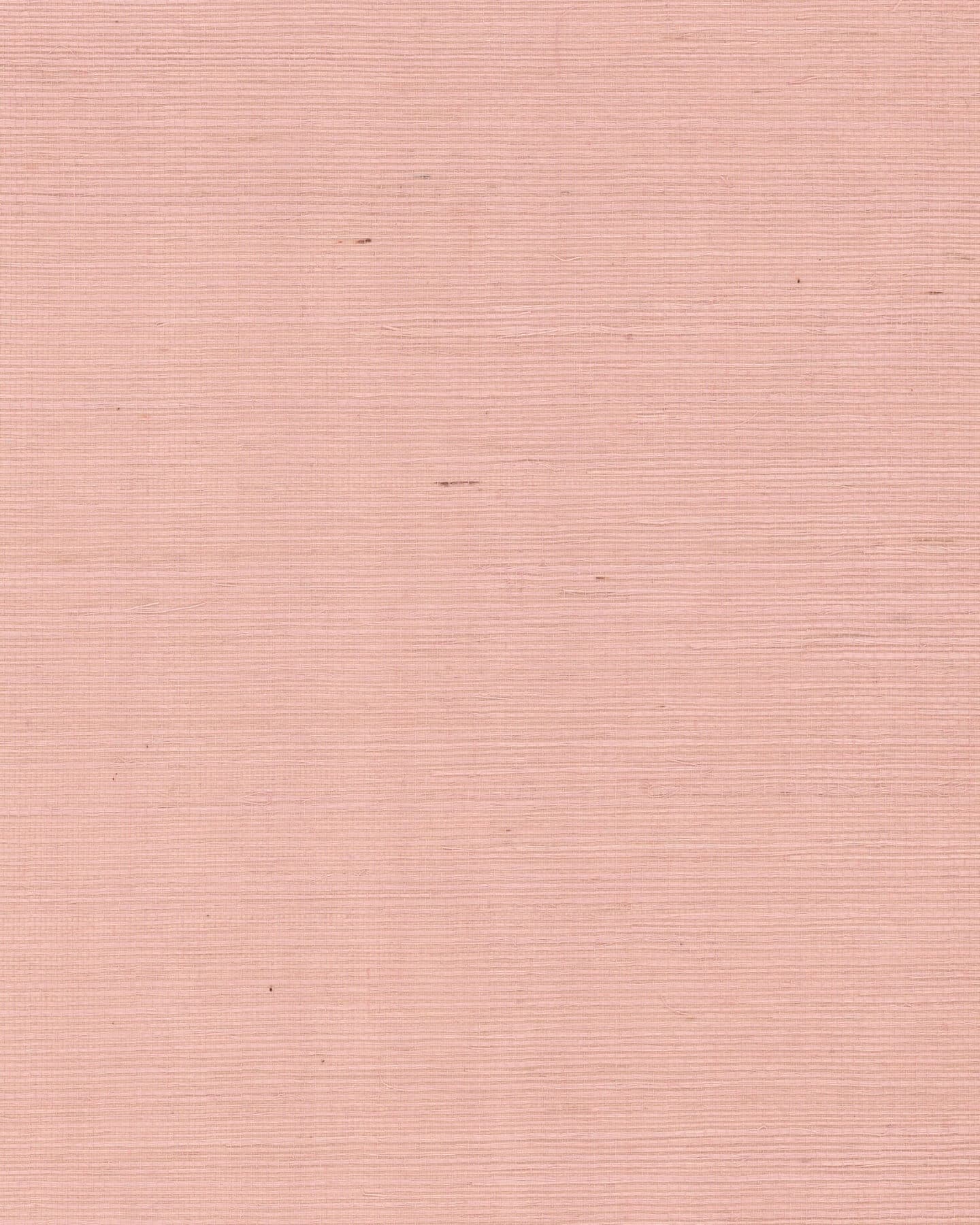 Maguey Petal Sisal Wallpaper- Petal