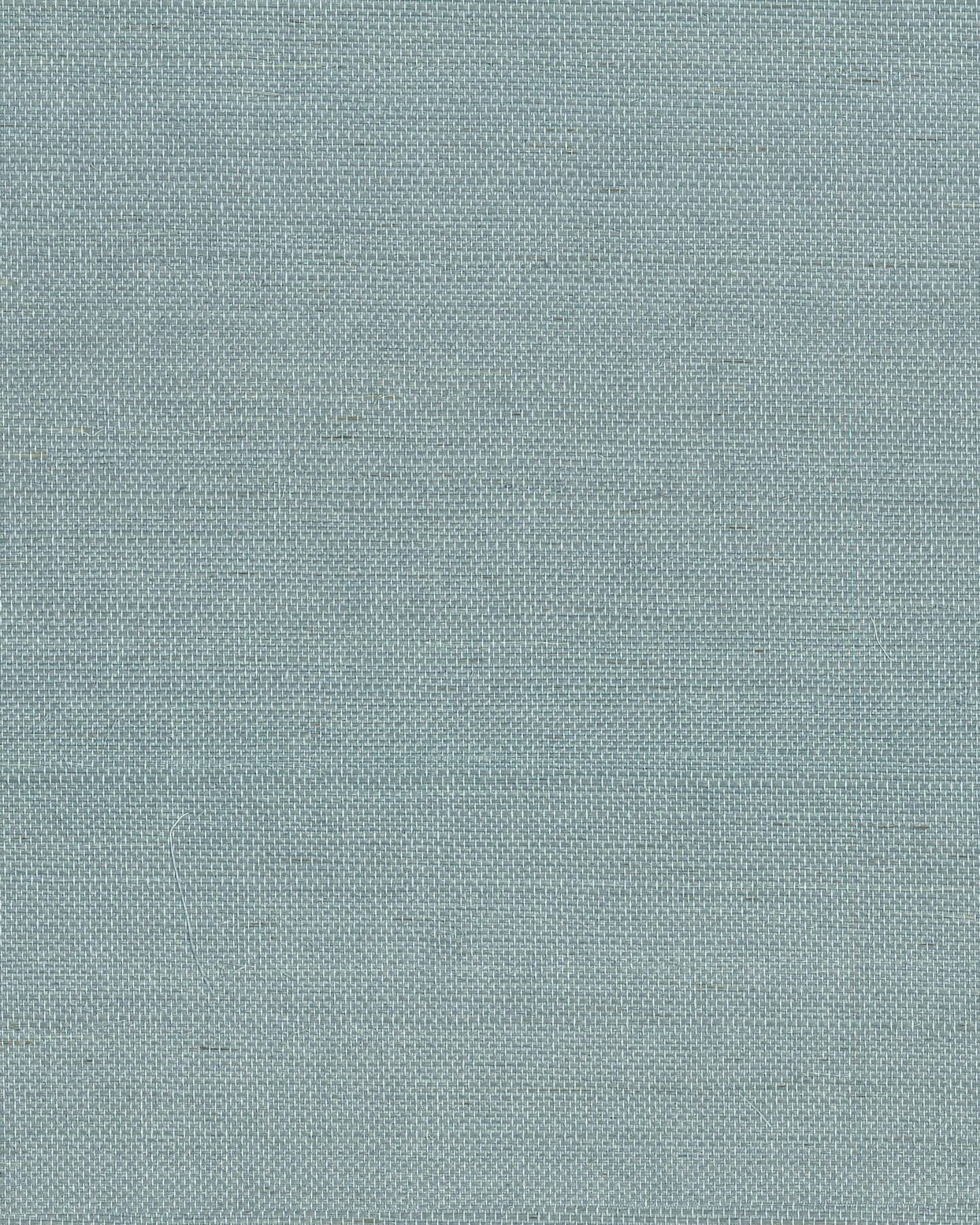 Maguey Dragonfly Sisal Wallpaper- Dragonfly