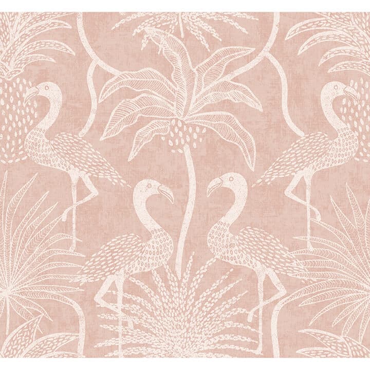 Biscayne Coral Flamingo Beach Wallpaper