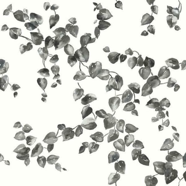 Creeping Fig Vine Wallpaper- Black/White