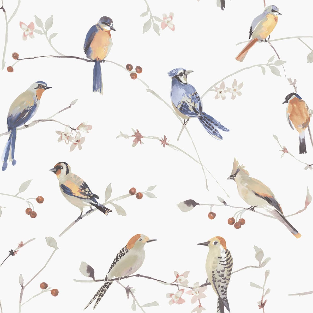 Birdsong Orange Trail Wallpaper