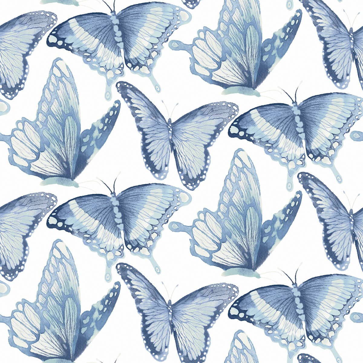 Janetta Blue Butterfly Wallpaper