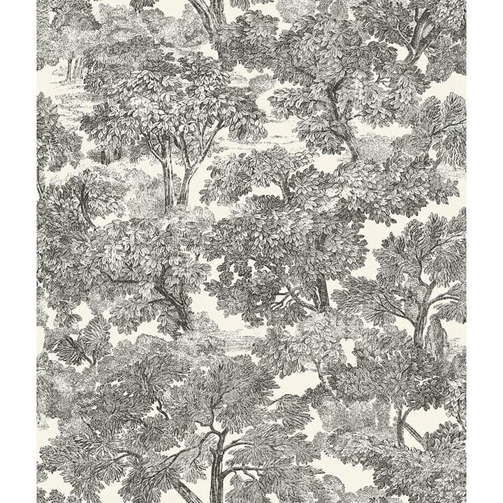 Spinney Black Toile Wallpaper